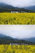 正规可以玩百家乐的地址-寻找正规百家乐平台，享受娱乐新体验